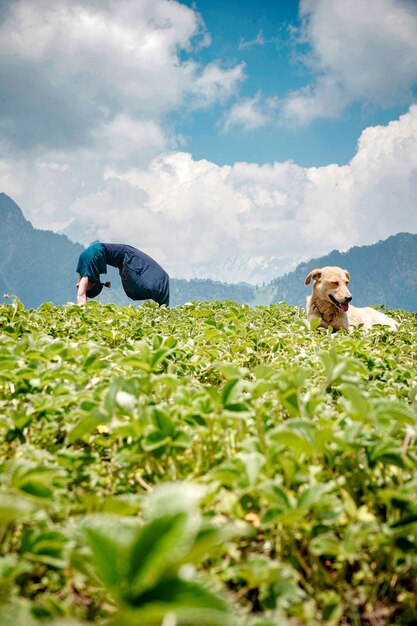 Mulher jovem fazendo exercícios de ioga em um ambiente natural com um cachorro sentado na grama