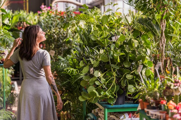 Mulher jovem, perto, plantas verdes, em, potes