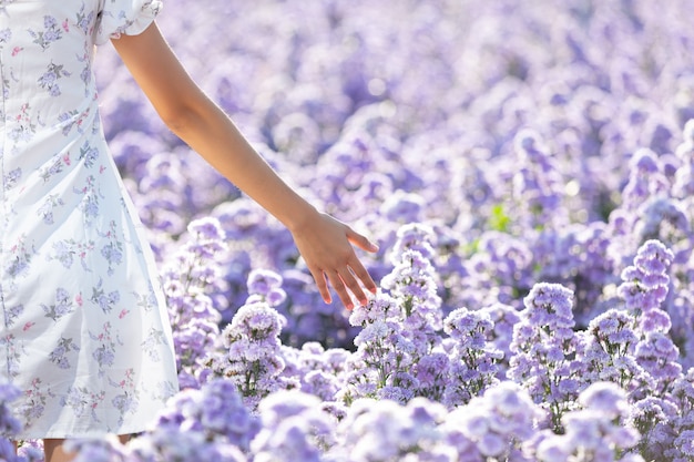 Mulher linda apreciando o campo de flores