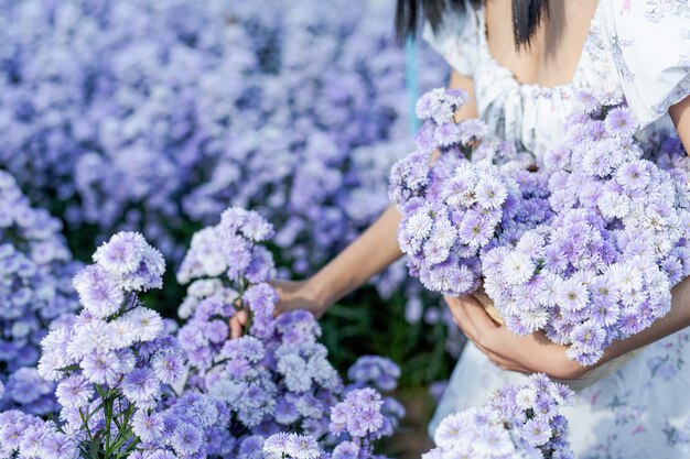 Mulher linda apreciando o campo de flores