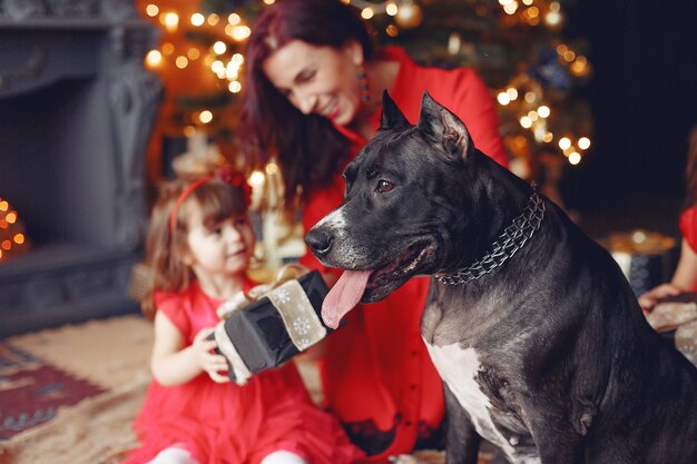 Mulher linda em um vestido vermelho. Família em casa. Mãe com filha. Pessoas com um cachorro.