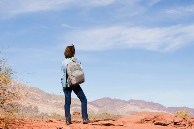 Mulher, mochila, admirar, paisagem