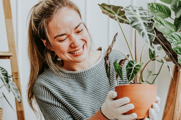 Mulher repotenciando uma planta de casa dentro de sua casa