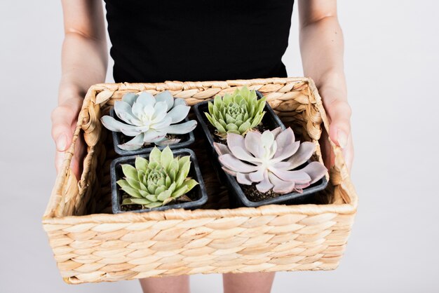 Foto grátis mulher segurando cesta com plantas e flores