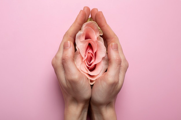 Mulher segurando rosa nas mãos para visualização do sistema reprodutivo