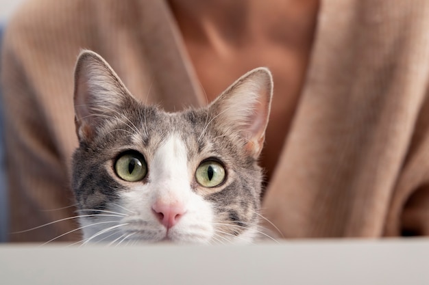 Mulher segurando seu adorável gatinho em casa