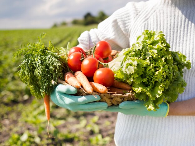 Mulher segurando uma cesta cheia de vegetais diferentes