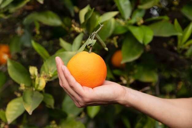 Mulher segurando uma laranja na mão