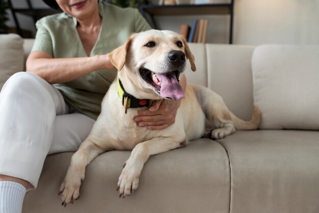 Mulher sentada em casa no sofá com seu cachorro