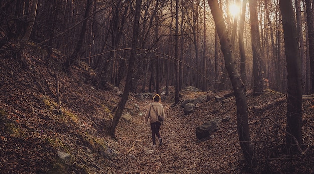 Mulher solitária andando na floresta com árvores nuas durante o pôr do sol