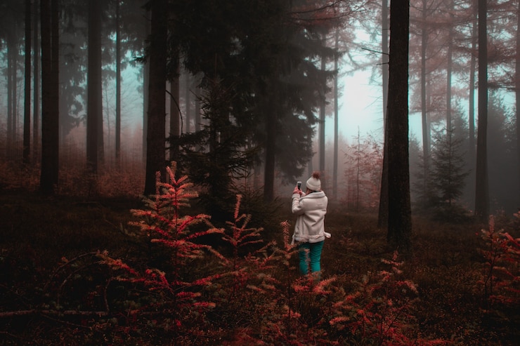 Foto grátis mulher tirando foto de árvore na floresta