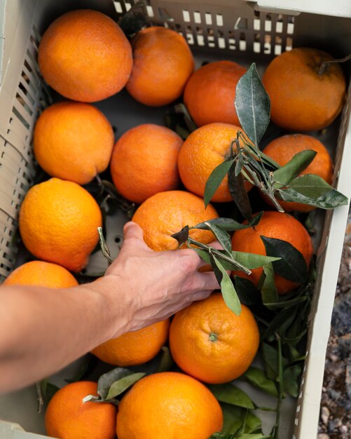 Mulher tirando uma laranja de uma caixa