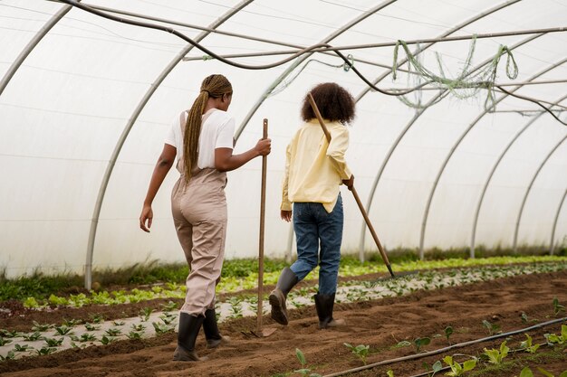 Foto grátis mulheres camponesas de tiro completo trabalhando