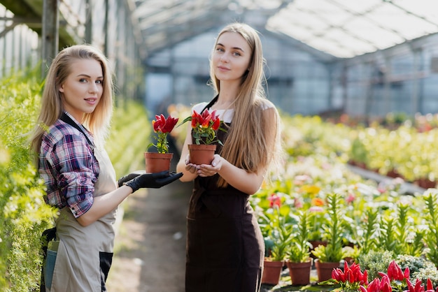 Foto grátis mulheres de florista em estufa