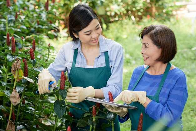 Mulheres que trabalham em um jardim