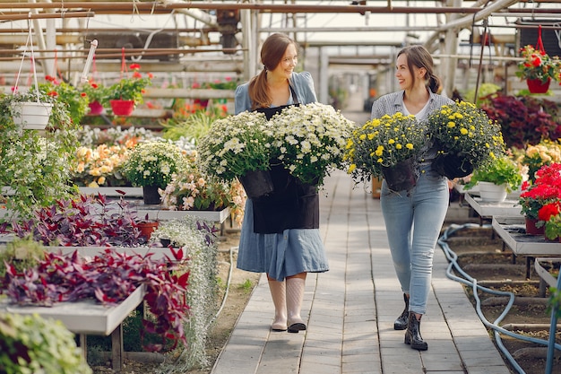 Mulheres que trabalham em uma estufa com vasos de flores