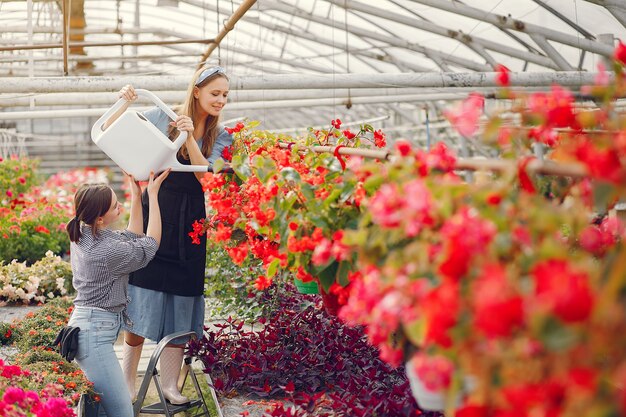 Mulheres que trabalham em uma estufa com vasos de flores