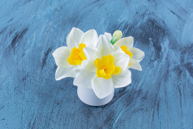 Narcisistas de trombeta amarela e branca florescem lindamente em um vaso.