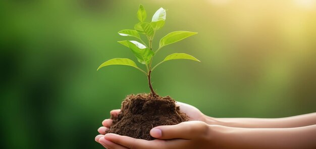 nas mãos da planta gerada pela IA