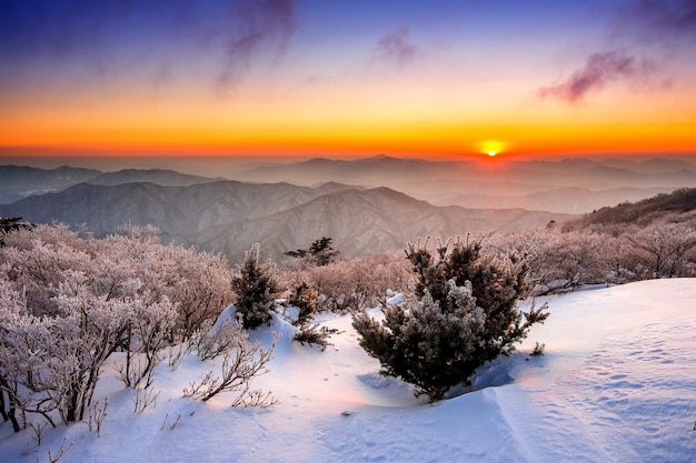 Nascer do sol nas montanhas Deogyusan cobertas de neve no inverno, Coreia do Sul