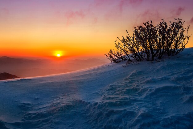 Nascer do sol nas montanhas Deogyusan cobertas de neve no inverno, Coreia do Sul