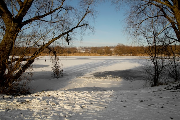 Foto grátis natural bela paisagem de inverno