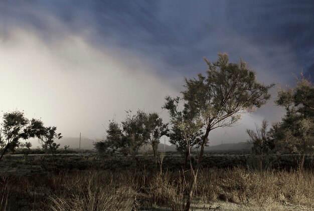 Foto grátis natureza à noite