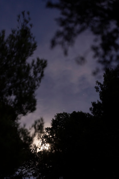 Foto grátis natureza antes da noite