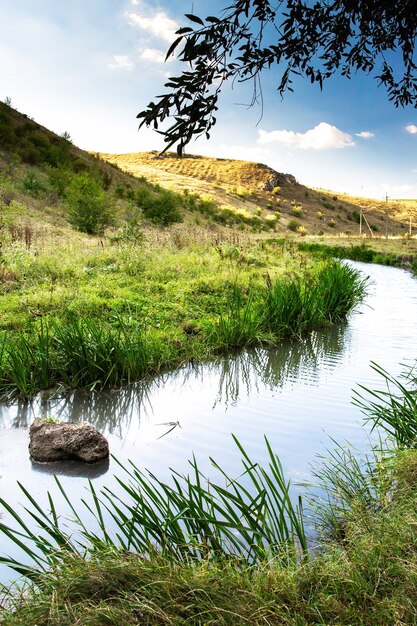 Natureza da Moldávia, vale com rio que flui