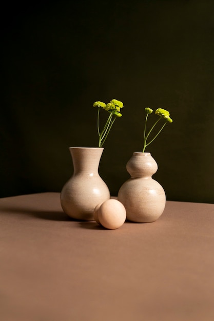 Foto grátis natureza morta com plantas deco