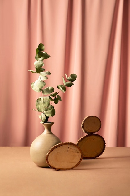 Foto grátis natureza morta com plantas deco