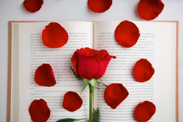 Foto grátis natureza morta de belas rosas vermelhas para a celebração de sant jordi