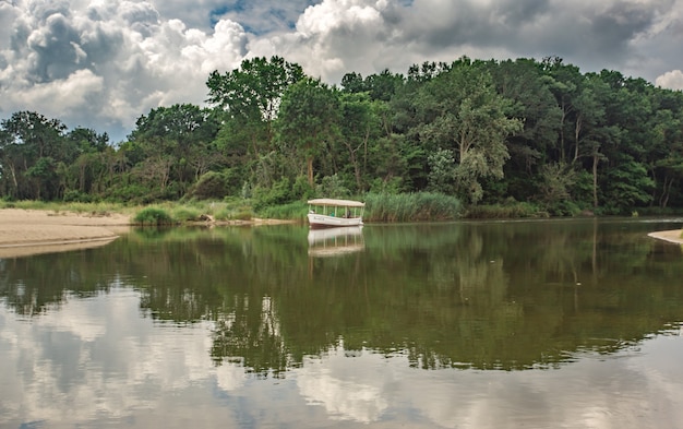 Navio perto de uma costa com floresta densa