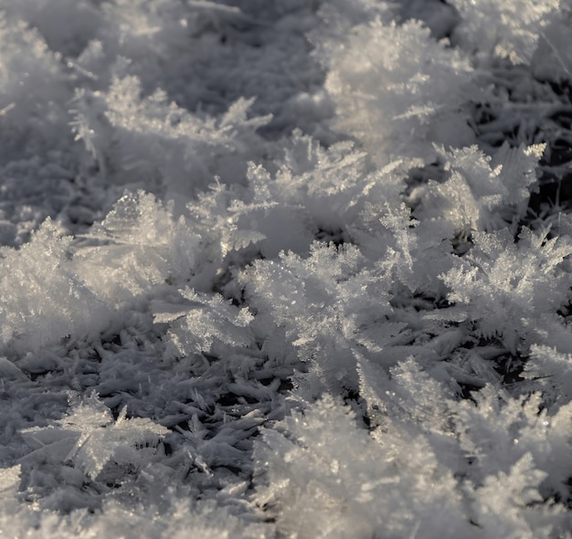 Neve branca em campo de grama verde