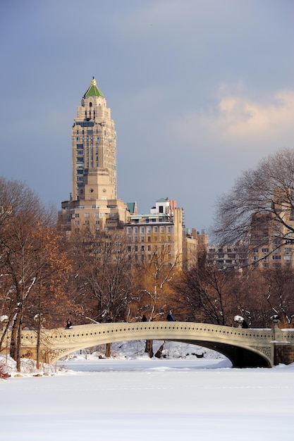 New York City Manhattan Central Park no inverno