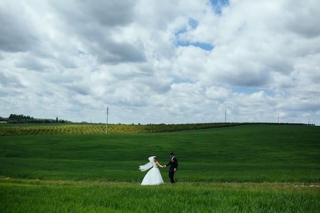 Newlyweds felizes no prado