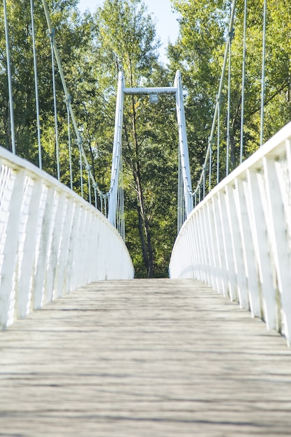 Ângulo baixo de uma ponte branca em um parque em um dia ensolarado de primavera