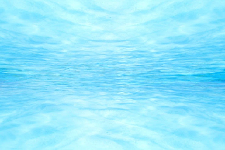 Foto grátis no azul