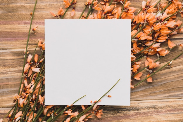 Foto grátis nota em branco em flores decorativas