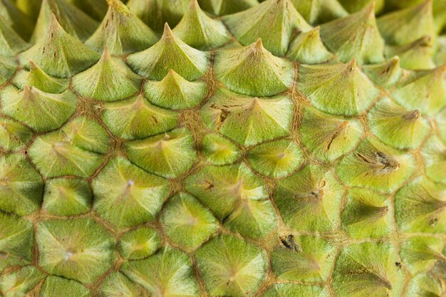 O close-up de espinhos de durian