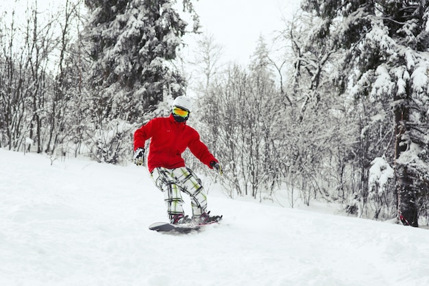 O homem em casaco de esqui vermelho desce no snowboard ao longo da floresta