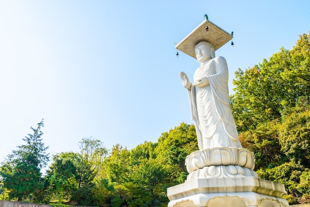 o horizonte da área estátua moderna budista