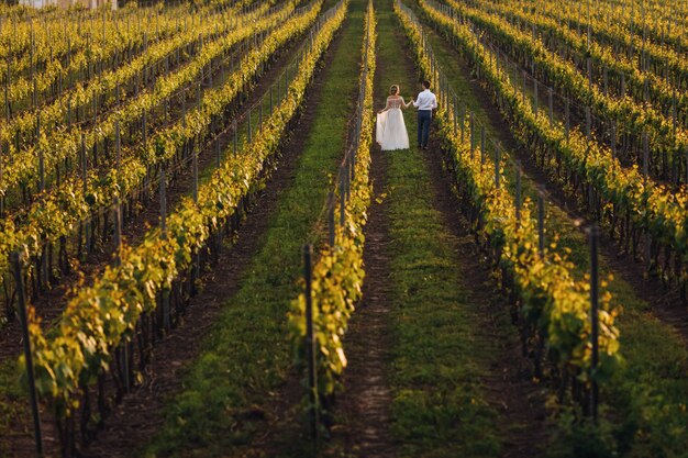 O lindo casal de noivos andando nas vinhas