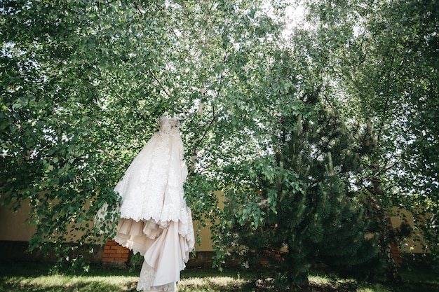O lindo vestido de noiva paira entre as árvores