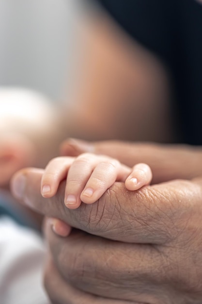 Foto grátis o punho de um recém-nascido nas mãos de uma avó fechada