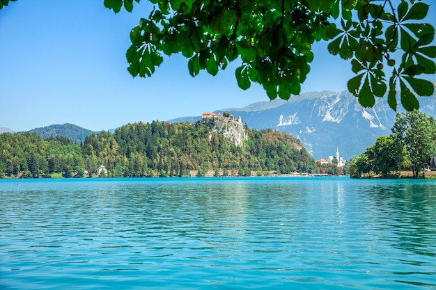 O verão e um lago parecem lindos