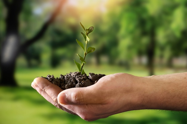 Objetivos de desenvolvimento sustentável natureza morta