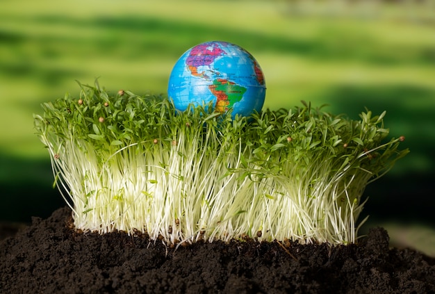 Objetivos de desenvolvimento sustentável natureza morta