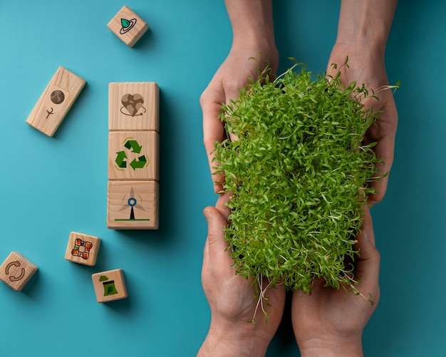 Objetivos de desenvolvimento sustentável natureza morta