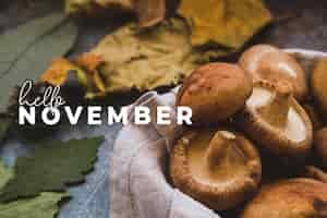 Foto grátis olá composição de novembro com cogumelos e folhas